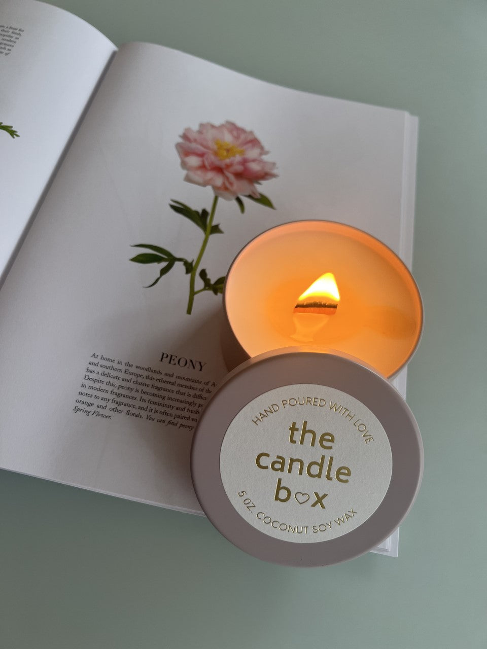 Raspberry & Prosecco 5 oz Candle