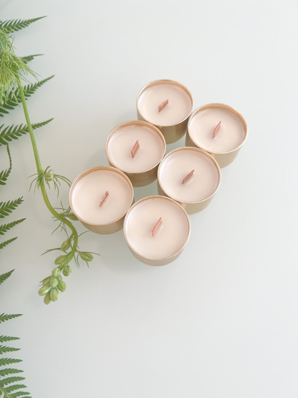 6 - 0.06 oz unscented Tealights